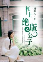 杠上绝版公子